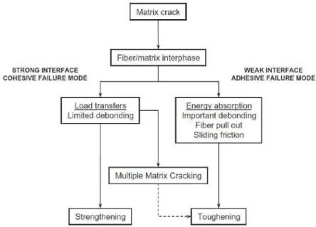 Figure I.25 Diagramme résumant les mécanismes associés à la résistance du domaine interfacial  : interface F/M faible vs interface F/M forte [Chawla 93] 