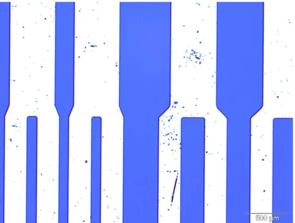 Figure III.9: Optical microscope image of the defects after etching