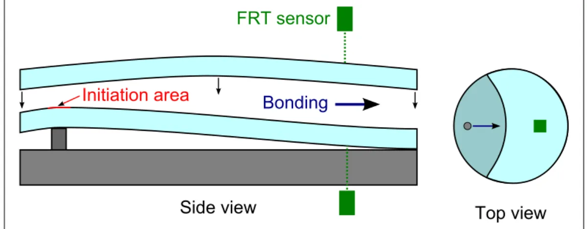 Figure IV.3: Schematic views of the gravity fall on a bump FRT measure.