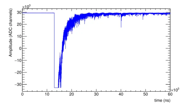 Figure 3.6: Example of the response of a BaF 2 module to the γ -flash.