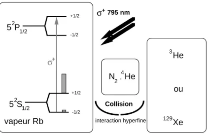 Figure 4.2 – Pompage optique indirect : le pompage optique est effectué sur une vapeur de rubidium présent dans la cellule avec le gaz rare et de l’azote (le dédoublement par l’interaction hyperfine n’est pas représenté sur le schéma)