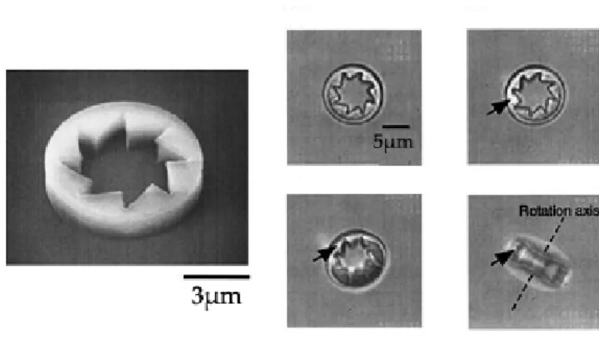 Fig. 1.11 – Mise en rotation de petits objets dissym´ etriques par des forces optiques.