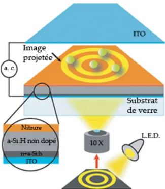 Fig. 1.19 – Structure du dis- dis-positif utilis´e dans les pinces opto´ electroniques