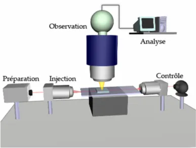 Fig. 2.1 – Sch´ ema de principe du banc de manipulation exp´ erimental. A travers diff´ erents modules, le faisceau est pr´ epar´ e, inject´ e, contrˆ ol´ e et le comportement des objets d´ epos´ es en surface du guide est visualis´ e grˆ ace ` a un syst` 