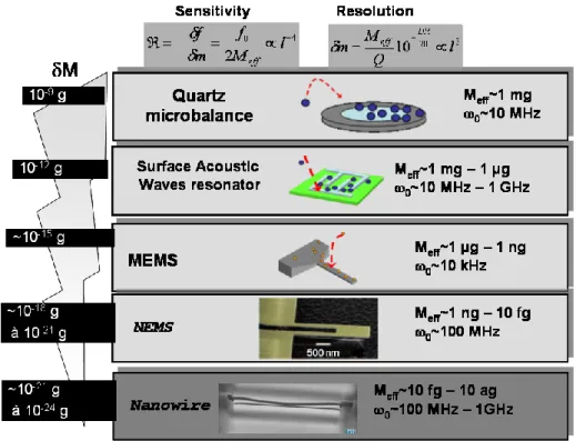 Figure I.2. Résolution en masse et fréquence de résonance des capteurs en fonction de leurs  dimensions [Ernst08]