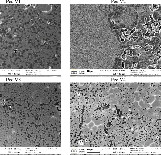 Figure II.5. Micrographies MEB obtenues pour les différentes versions de synthèse   par la voie Pechini modifiée 