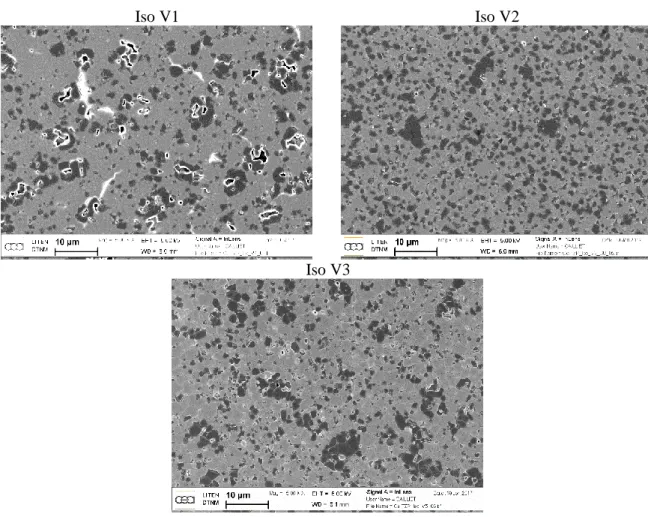 Figure II.6. Micrographies MEB obtenues pour les différentes versions de synthèse par la voie Isopropoxyde 