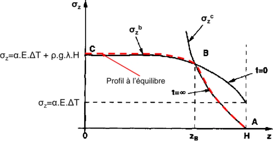 Figure 55 – Profils de contrainte axiale après un saut positif de température [DeGennes1999] 