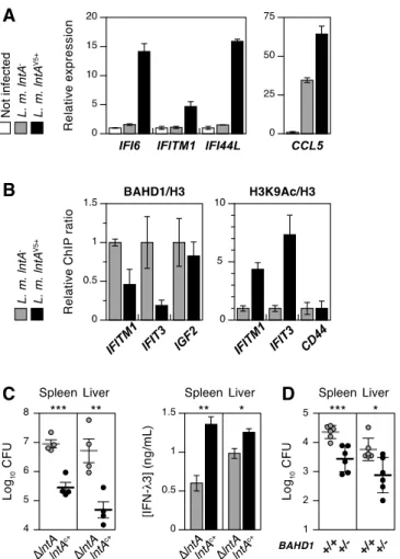 Fig. 3. LntA impairs BAHD1-mediated repression of ISGs. (A) LntA induces ISGs. mRNA  levels were estimated by qRT-PCR on total RNA from LoVo cells infected for 16 h with lntA  -or lntA V5+ , compared to non-infected cells