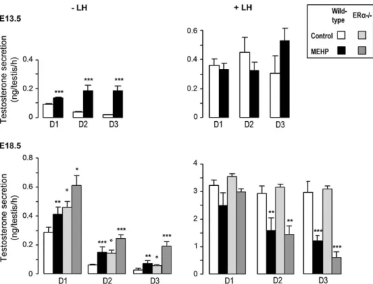 FIG. 2. Effect of MEHP on testosterone secretion by fetal testes from wild-type and ERa/ mice in organ culture