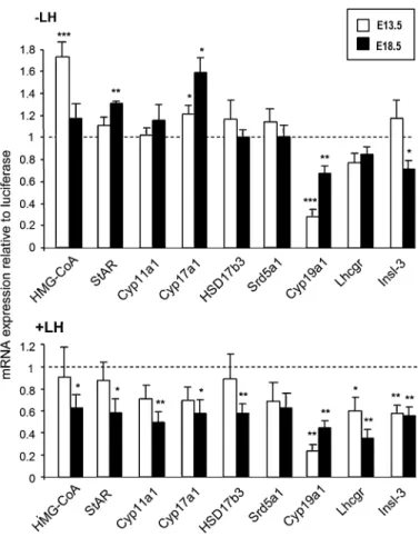 FIG. 5. Testosterone secretion by E18.5 testes cultured in the presence of oLH or db-cAMP and in the absence (white bars) or presence (black bars) of 200lM MEHP