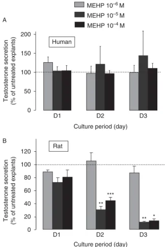 Figure 4 Effect of MEHP on testosterone secretion by cultured rat and human fetal testis explants