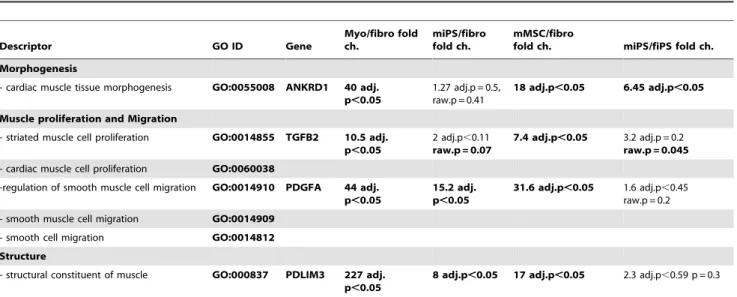 Figure 1. Generation of two independent iPS cell-lines derived from purified CD56+ primary myoblasts