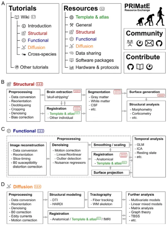 Fig. 1. Organization of PRIME-RE and common NHP-neuroimaging analysis  work-ﬂows. A) The main components of the  PRIME-RE website ( https://prime-re.github.io ) are the Tutorials and Resources sections