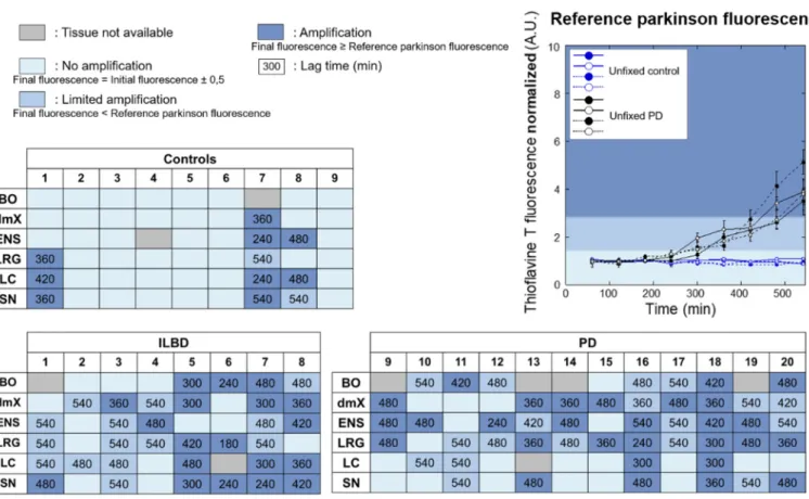 Figure 2. Graphical summary of the PMCA amplification reactions.  PMCA was performed using biopsy homogenates  from control, ILBD, and PD patients