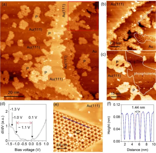 Figure 3. STM images of (5 × 5) phosphorene-like structure on Au(111). (a) Filled state STM 