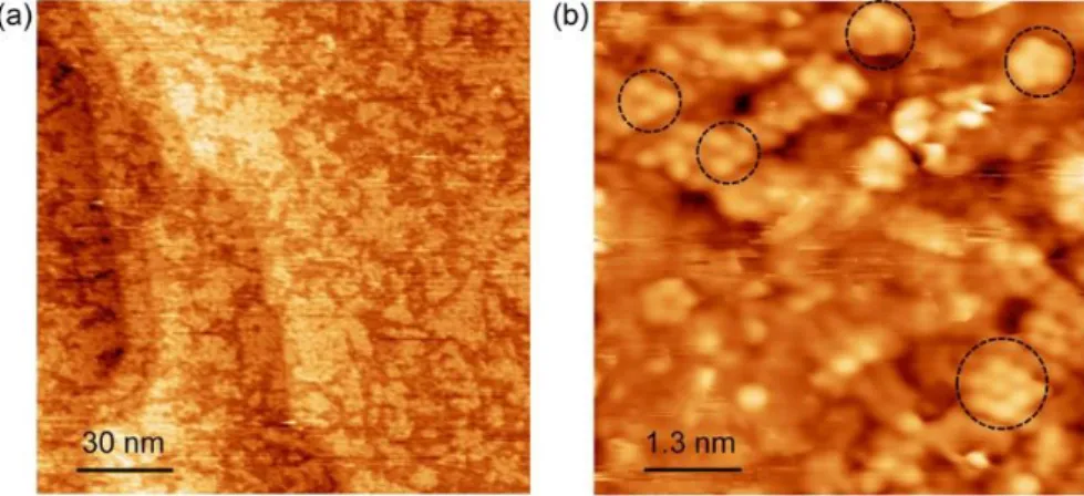 Figure 2. STM images corresponding to phosphorus adlayer deposited on Au(111) at RT. (a) 
