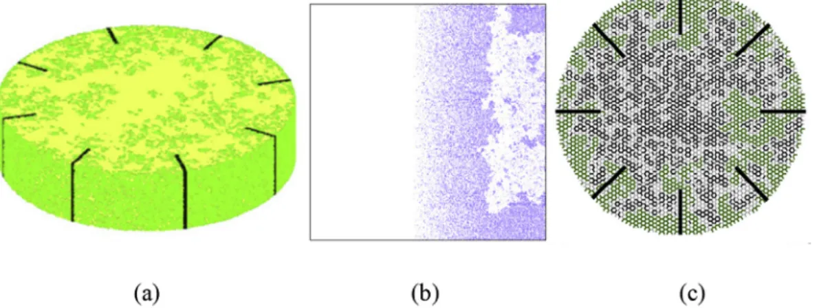 Fig. 7. Examples of grain edge tunnel simulations using network percolation models, where (a) shows a 3D simulation of a fuel pellet slice with radial cracks for a ﬁxed fraction of open vs closed grain faces [133], (b) shows an 2D axisymmtric simulation wi