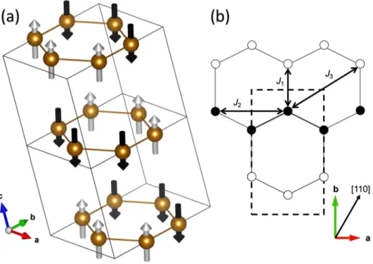 FIG. 1. (a) The magnetic structure of FePS 3 in zero field, showing the magnetic moments on the Fe 2+ ions 
