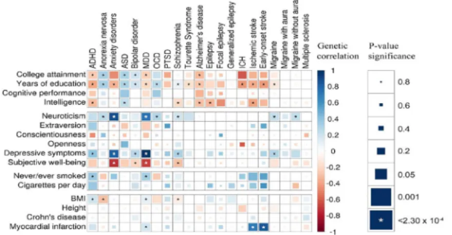 Fig. 4. Genetic correlations across brain disorders and behavioral-cognitive phenotypes.