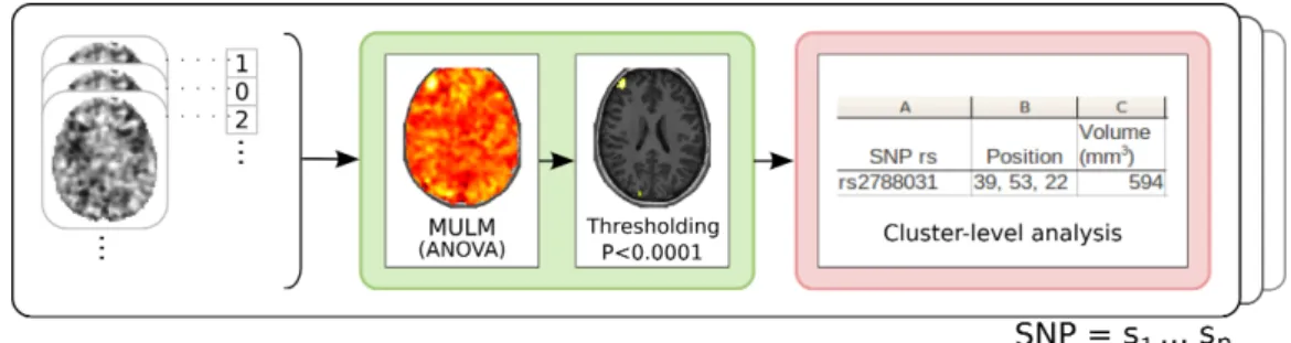 Figure 1. Sketch of the cluster-level analysis. Colors of the boxes are references to tasks of our framework described in Figure 2 (MULM: Mass Univariate Linear Model).