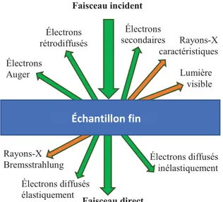 Figure 34 : Représentation des différentes interactions électron- électron-matière à l’intérieur d’un TEM