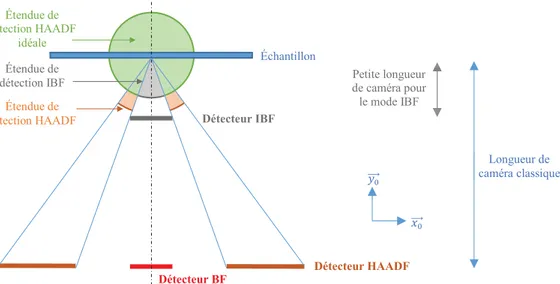 Figure 43 : Schéma représentant les modes HAADF, BF et IBF ainsi que les étendues de détection 