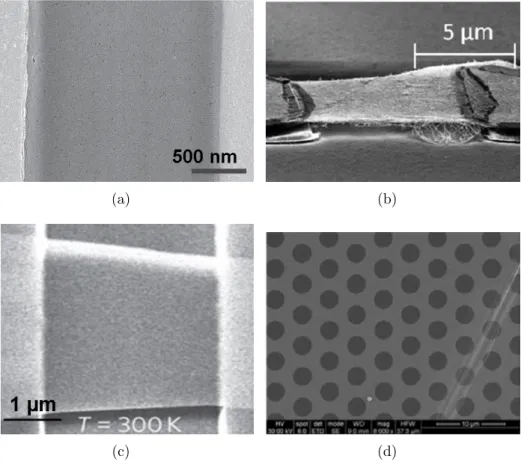 Figure 3.1 – Images MEB de membrane suspendue de (a) nanoparticules d’or de 13.6 nm d’´ epaisseur, r´ ealis´ ee par Liao et al