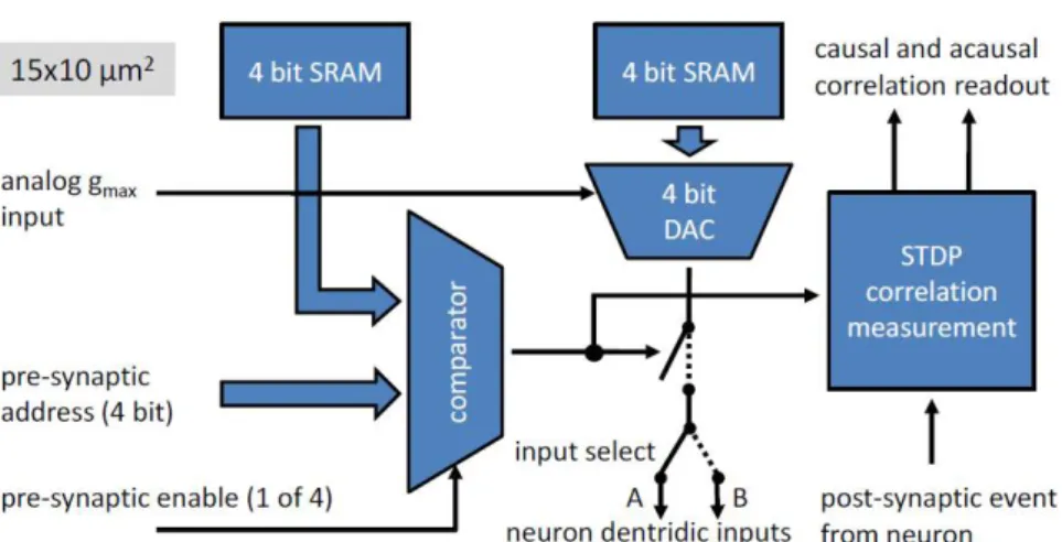 Figure 1.21: Synapse schematic comprising of 4-bit SRAM cells for the wafer-scale FACETS neuromorphic project [61].