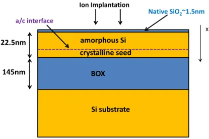 Figure 1.5: Scheme of full sheet SOI sample used for SPER analysis. 