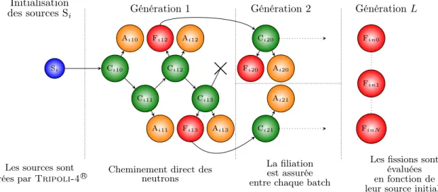 Figure II.5 – Déroulement d’un calcul de flux adjoint IFP avec Tripoli-4  R (S : Source, F : Fission, A : Absorption, C : Collision) 