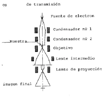 Figura 2.16 Esquema  simplificado  de  un  microscopio  electrónico  de  transmisión (TEM)
