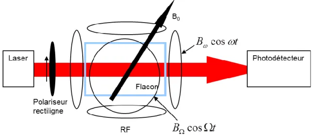 Figure 8 : Schéma du magnétomètre vectoriel asservi en champ magnétique nul 