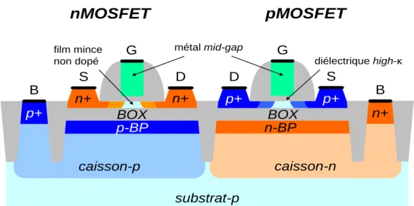 Figure 2.7. : Vue en coupe schématique d’un transistor nMOS (gauche) et d’un transistor pMOS  (droite) fabriqués en technologie planaire FDSOI BOX mince avec BP