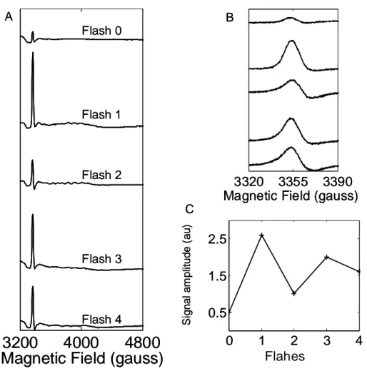 Figure 3: Flash number dependence of the intensity of the g~2 signal attributed to Q B •-