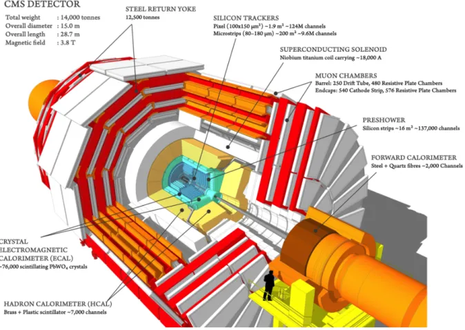 Figure 3.2 – Schematic representation of the CMS detector structure in Run II [20]