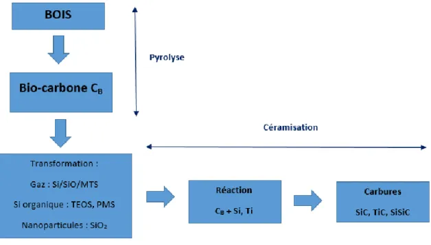 Figure 1.22 - Différents processus de fabrication de carbures à partir de bois (MTS: methyltrichlorosilane, TEOS : orthosilicate  de tetraéthyl, PMS : polymethylsiloxane) ; inspiré de [SCHEFFER05]