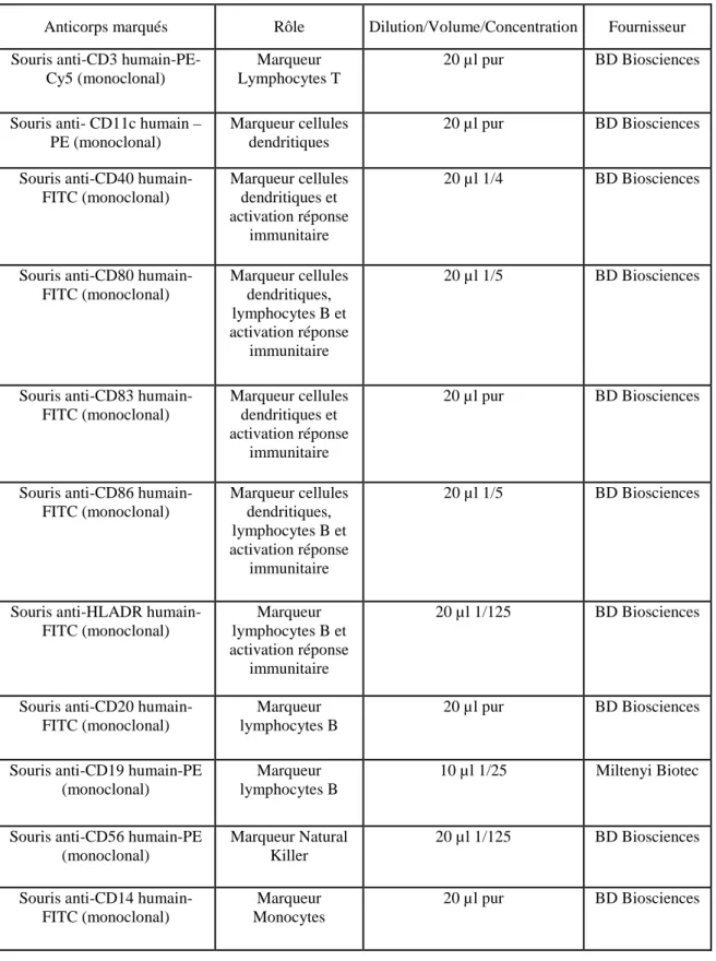 Tableau 2. Récapitulatif de l’ensemble des anticorps marqués utilisés pour les expériences de cytométrie  en flux