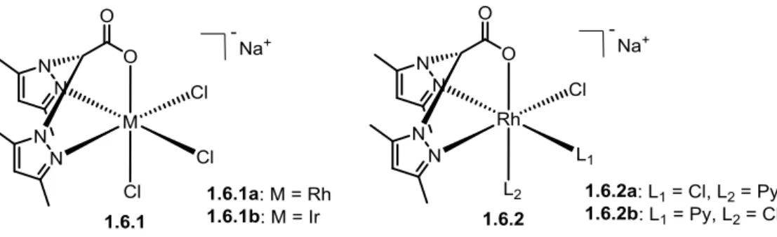 Figure 1.39 Structure of metal complexes synthesized by Jones et al 