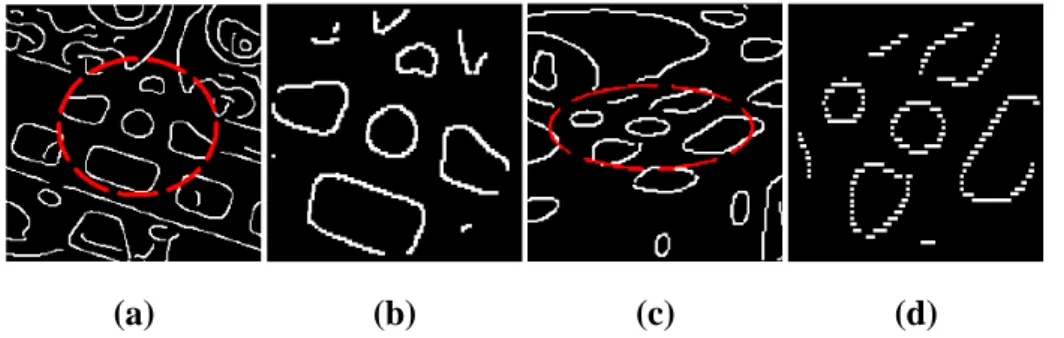 figure 2.8). La figure 2.9 illustre ce procédé et montre comment cette pondération compense les effets de la segmentation.