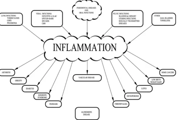 Figure 1.2.1: Inflammation plays a central role in pathologies and disorders Figure ?? by Tabas et al