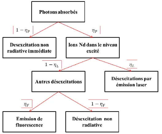 Figure  I-22 Définition  du  rendement  quantique  d’absorption η P ,  du  rendement  d’extraction laser η L  et du rendement quantique de fluorescence η F .