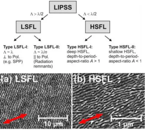 Figure 10 (Reproduced from ref.  42 ) Top: classification of LIPSS types. Bottom: SEM images of  Titanium alloy textured with a: LSFL, b: HSFL 