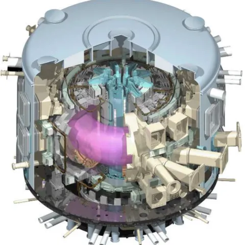 Figure 1.2: A detailed cutaway of the ITER Tokamak, with the hot plasma, in pink, in the centre [4].