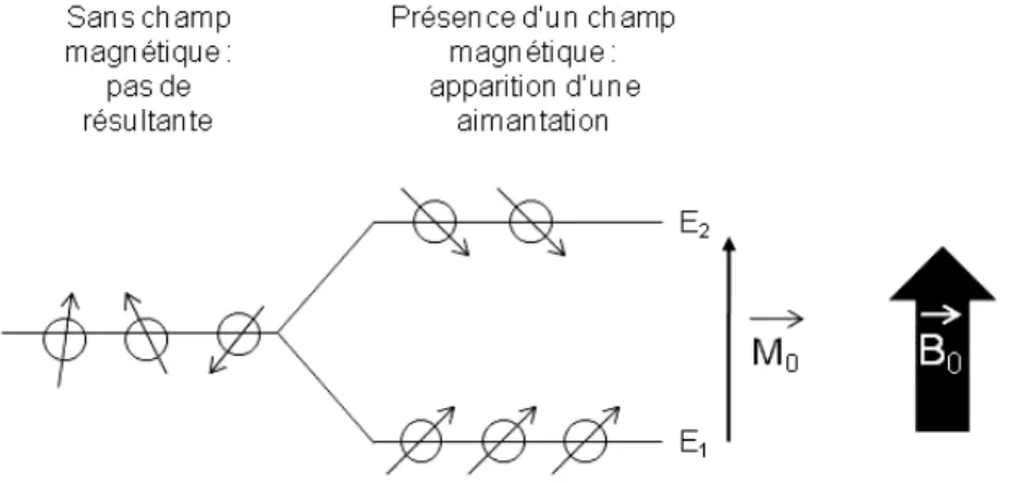 Figure  I.1.  Répartition  des  spins  sur  les  niveaux  d’énergie  et  apparition  d’une  aimantation  M 0