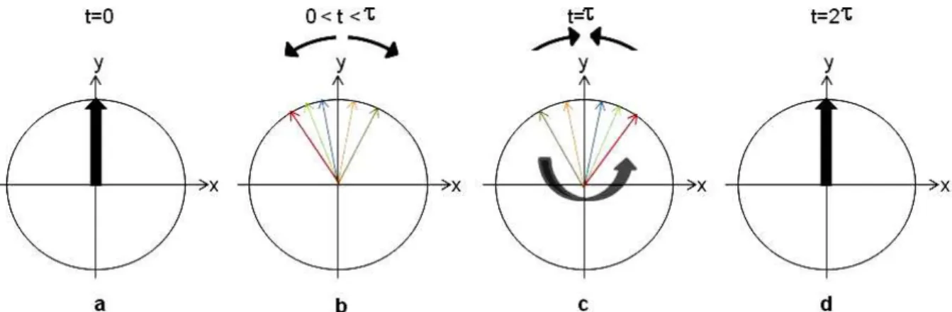 Figure I.7. Principe de l’écho de spin. A t=0, les spins sont basculés dans le plan transverse à  la suite d’une impulsion de 90° selon x (a)