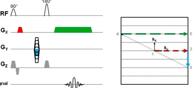 Figure  I.10.  Remplissage  du  plan  de  Fourier  dans  le  cas  d’une  séquence  écho  de  spin :  à  gauche,  chronogramme  de  la  séquence,  à  droite,  plan  de  Fourier