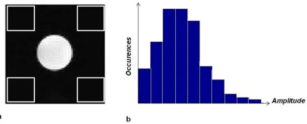 Figure  I.12.  Exemple  de  mesure  du  bruit  dans  les  coins  d’une  image  en  module  (a)  et  histogramme correspondant montrant une distribution ricienne du bruit (b)