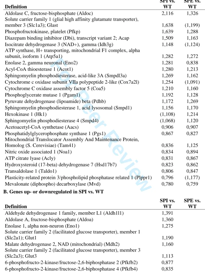 Table 2. Metabolic genes significantly deregulated in KO layers (P &lt; 0.01). Values are  ratios