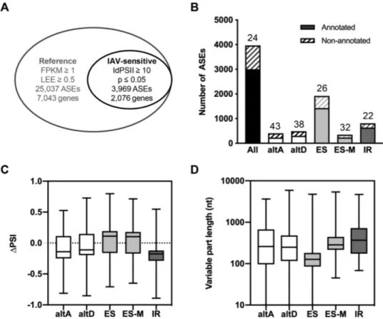 Figure 2. Global alterations of the cellular splicing landscape upon IAV infection. (A) Filtering of the ASE dataset